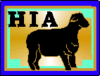 akchia